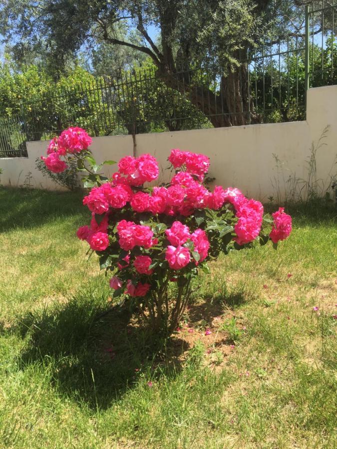 Lovely Apartment Next To The Sea Lygia Korinthias Ligia  المظهر الخارجي الصورة
