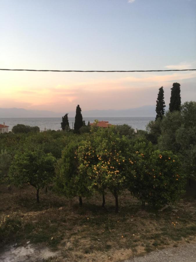 Lovely Apartment Next To The Sea Lygia Korinthias Ligia  المظهر الخارجي الصورة